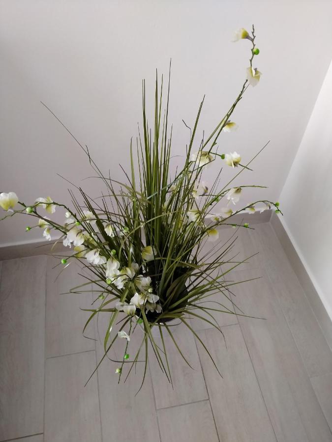 Apartman Avsec Krk Town Bagian luar foto